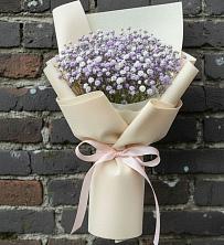 Букет цветов из:  Гипсофила в Апастово