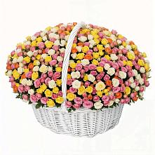 Премиум букет из: Розы в Апастово