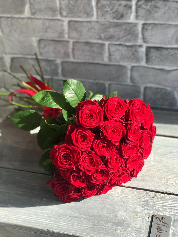 Букет Красные розы Фридом в Апастово