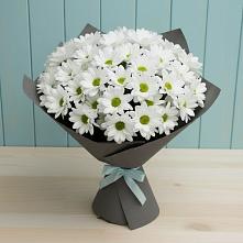 Букет цветов из:  Хризантемы в Апастово