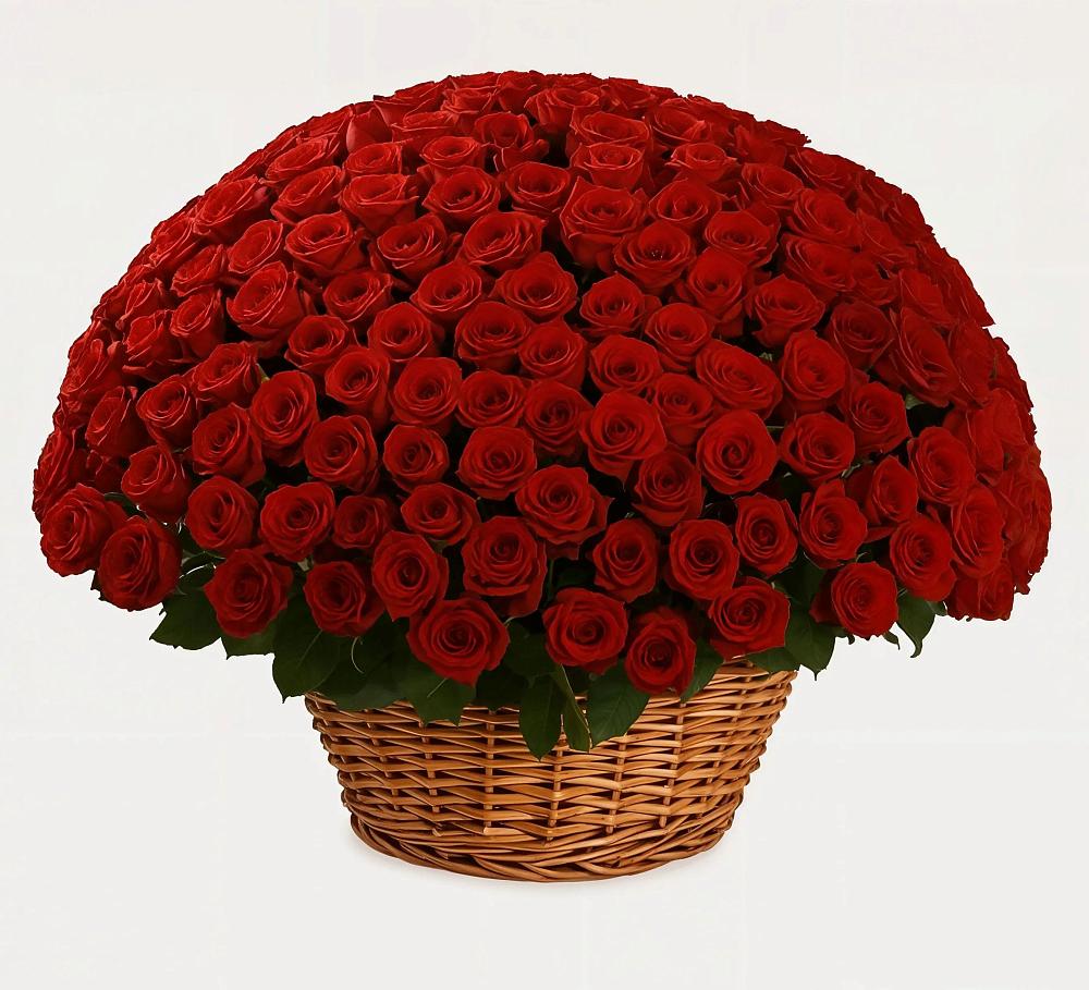 Премиум букет из: Розы в Апастово