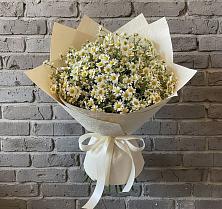 Букет цветов из:  Ромашки в Апастово