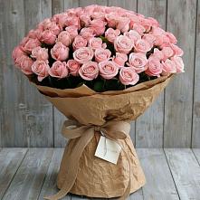 Букет 151 Роза Роуз #REPLACE_PRED# Апастово