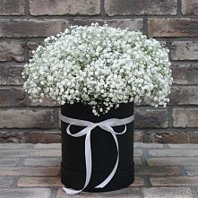 Цветочная композиция из Гипсофила в шляпной коробке #REPLACE_PRED# Апастово