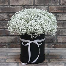 Цветочная композиция из Гипсофила в шляпной коробке в Апастово