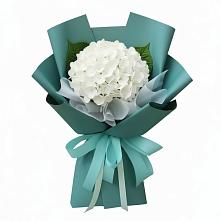 Букет цветов из:  Гортензия в Апастово